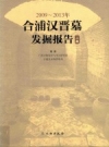 2009-2013年合浦汉晋墓发掘报告 上 PDF电子版下载