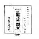 民国黑龙江通志纲要（全）.pdf下载