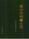 青州市村镇大观 PDF电子版下载