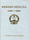 蚌埠市东市区人民代表大会志 1949-2002              2003年版             PDF电子版下载