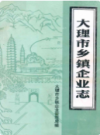 大理市乡镇企业志               1991年版                 PDF电子版下载