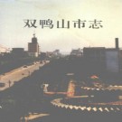 黑龙江省双鸭山市志1991版.pdf下载