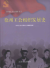 徐州工会组织发展史                  2009年版                   PDF电子版下载