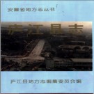 安徽省庐江县志.pdf下载