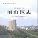 安徽省马鞍山市雨山区志.pdf下载