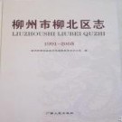 广西柳州市柳北区志 1991-2005.pdf下载