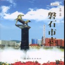 吉林省磐石市志1991-2003.pdf下载