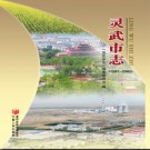 宁夏回族自治区 灵武市志1991-2005.pdf下载