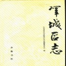 山东省枣庄市峄城区志.pdf下载