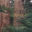 浙江省临安县志 1992版.pdf下载